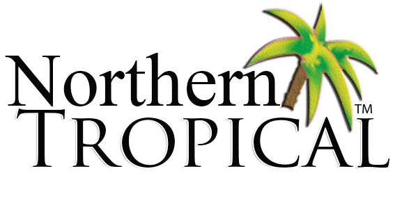 Northern Tropical